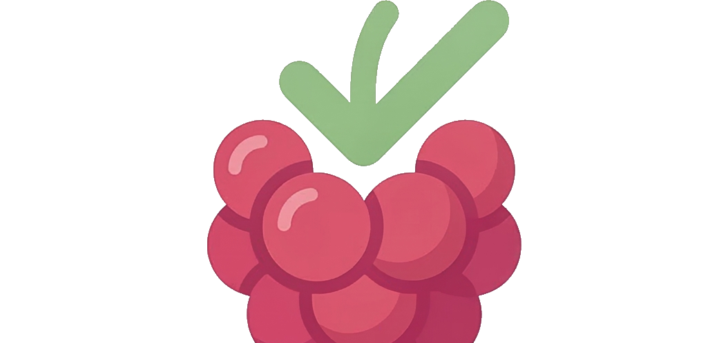 BitBerry logo